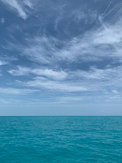 Photograph of Ocean Scene